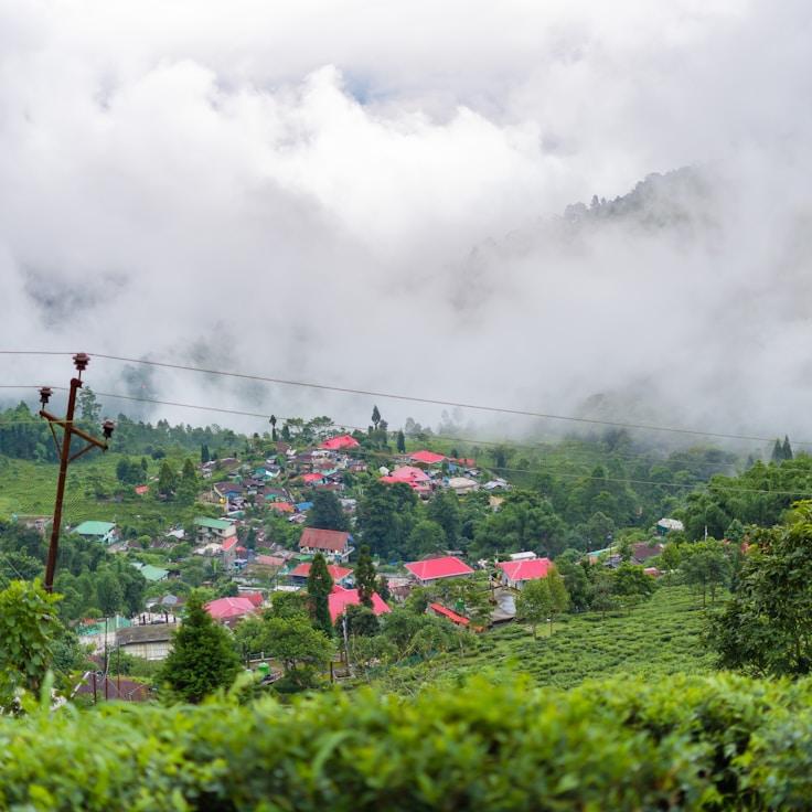Outdoor terrace seating suitable for families in Paris